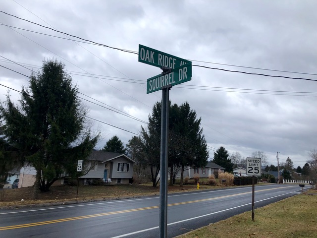 State College - 1482463_45307-1