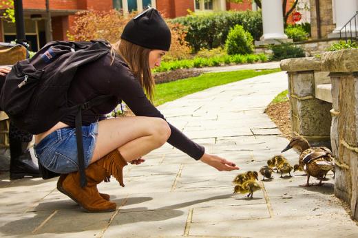 State College - 1078435_9366