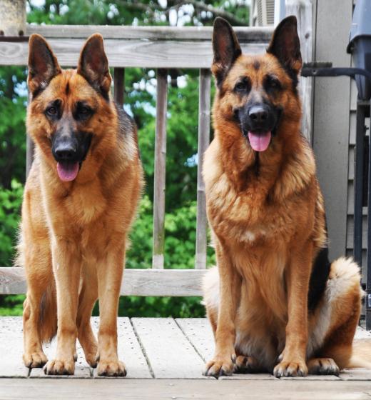 State College - 1101164_9845