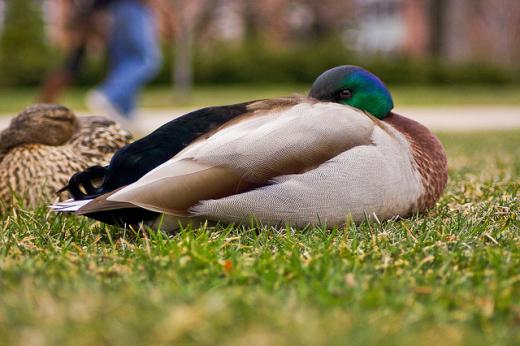 State College - 1140746_10593