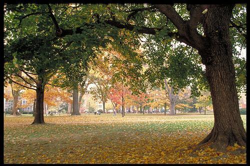 State College - 1140975_10596