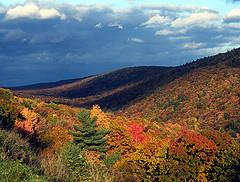 State College - 1158924_10892