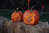 State College - 1160310_10931