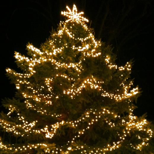 State College - 1191887_11493