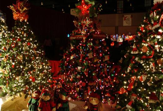 State College - 1196025_11557