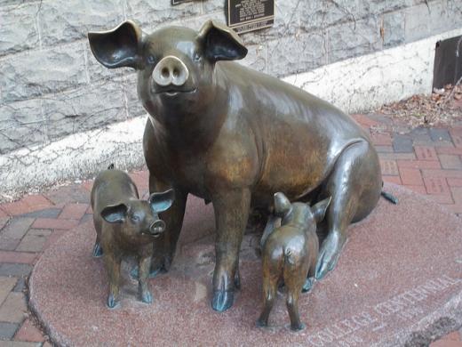 State College - 1226565_12067