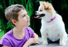 State College - 1246977_12434