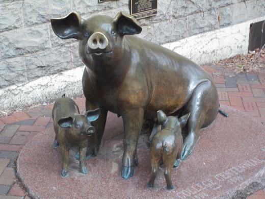 State College - 1251112_12499