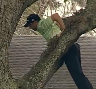 Viral Videos: When You’re Up a Tree, Try a Wedge Shot