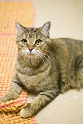 State College - 1290894_13360