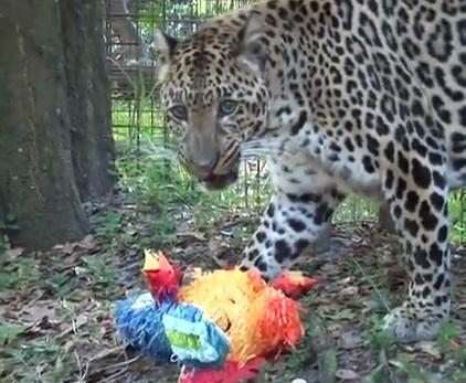 State College - 1302808_13619