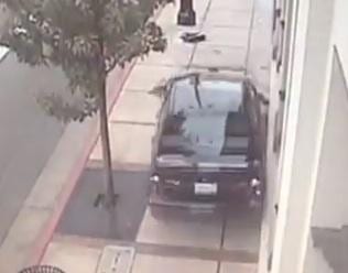 Viral Videos: One Lucky Dog Averts Disaster