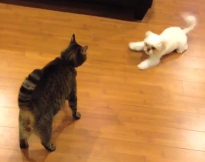 State College - 1326679_14144