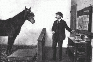 State College - 1327965_14161