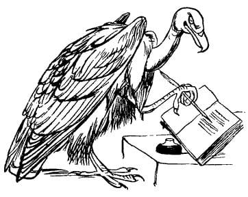Vulture culture