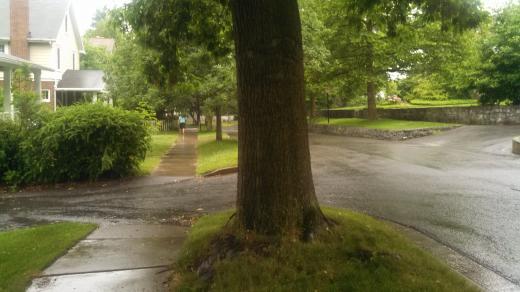State College - 1334793_14310
