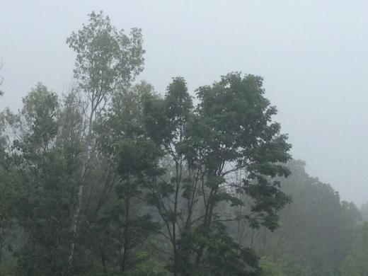 State College - 1336954_14367