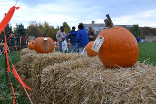 State College - 1389885_15688