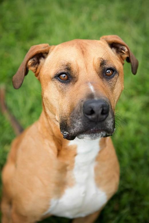 State College - 1402881_16093