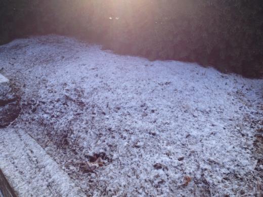 State College - 1411727_16350