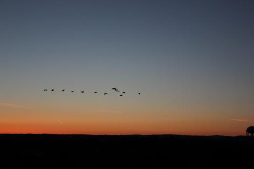 State College - 1416130_16486