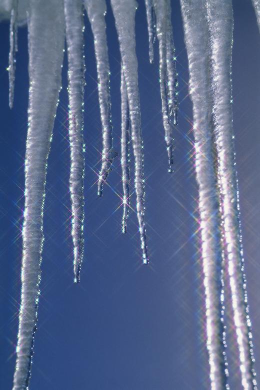 State College - 1434771_17145