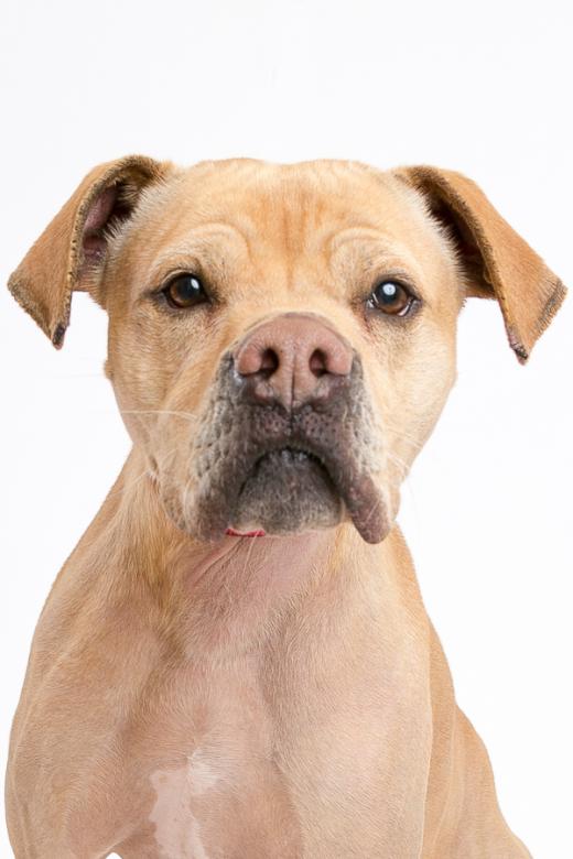 State College - 1458919_18894