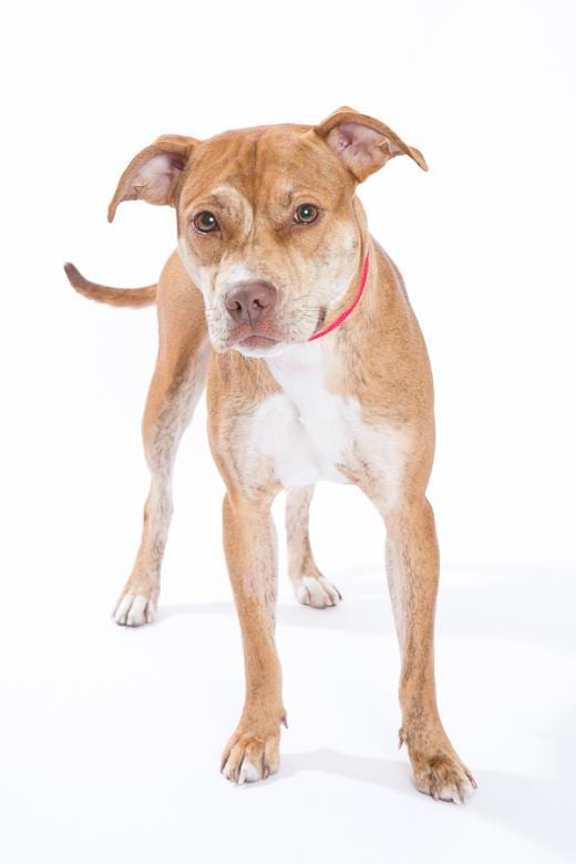 State College - 1459295_19291