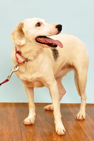 State College - 1461131_21261