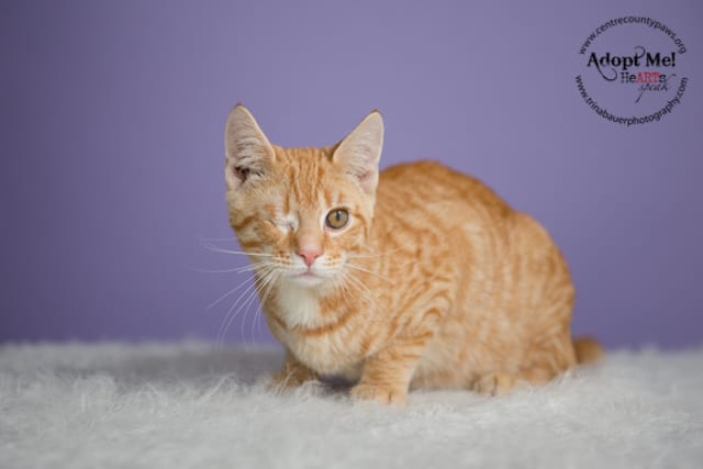 State College - 1461873_22063