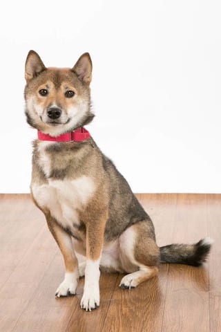 State College - 1462657_22929