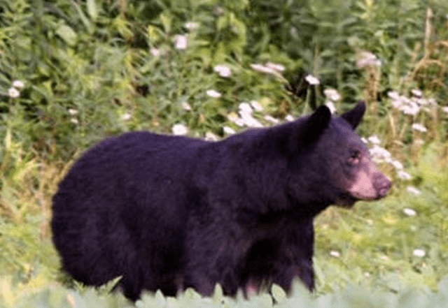 State College - 1463399_23727