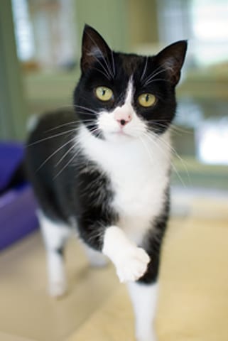 State College - 1463534_23868