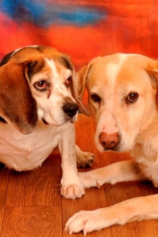 State College - 1464178_24564