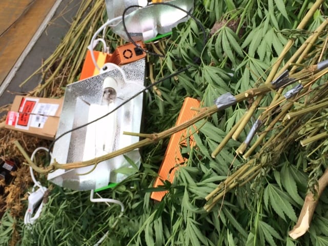 State College - 1465201_25667