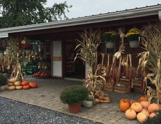 State College - The Garden