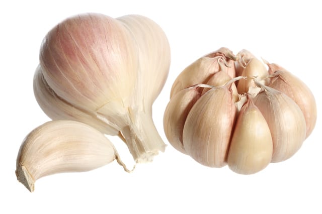State College - Garlic