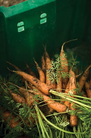 State College - 1467664_28261