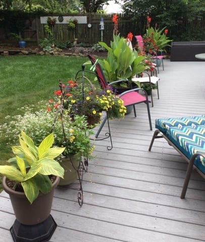 State College - Container gardening