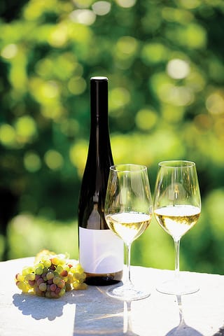 State College - Two glasses of white wine (Riesling) and bottle in vineyard