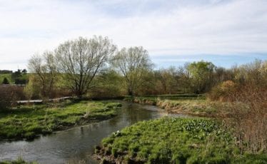 Milbrook Marsh