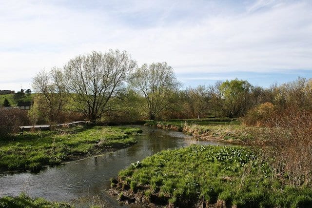 Milbrook Marsh