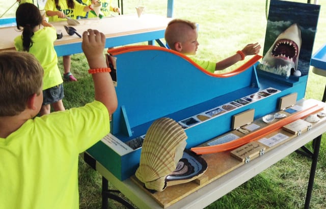 State College - Shark