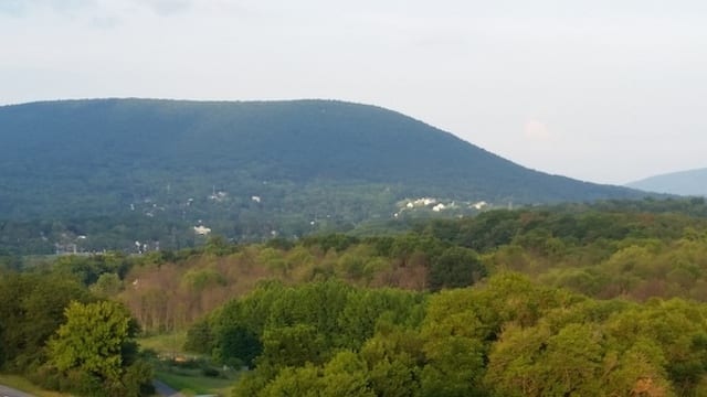 State College - 1468498_29131