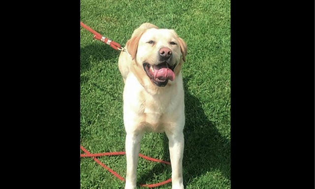 State College - 1468612_29251