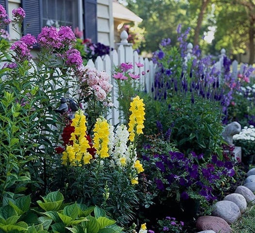 State College - Gardens