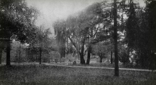 State College - 1468968_29620