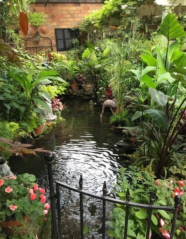 The Avid Gardener: Water Features Welcome Wildlife