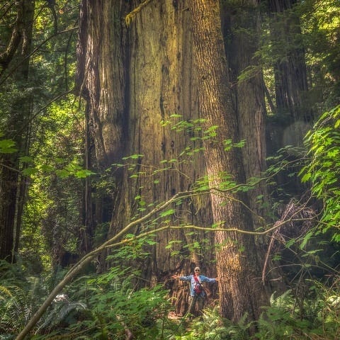 State College - 1469277_29946