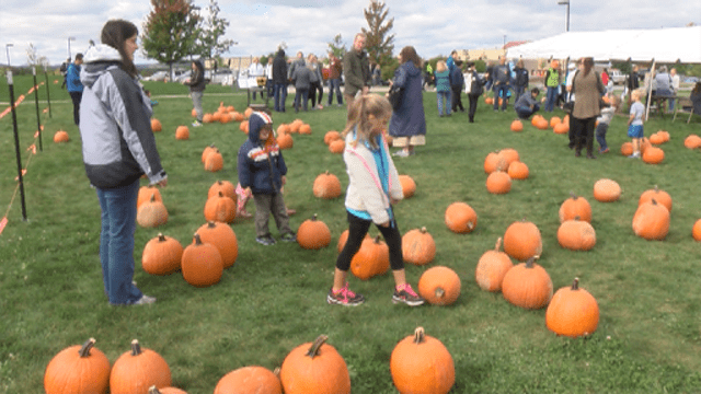 Arboretum Celebrates the Season with Pumpkin Festival